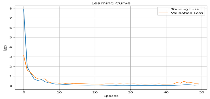 Learning Curves